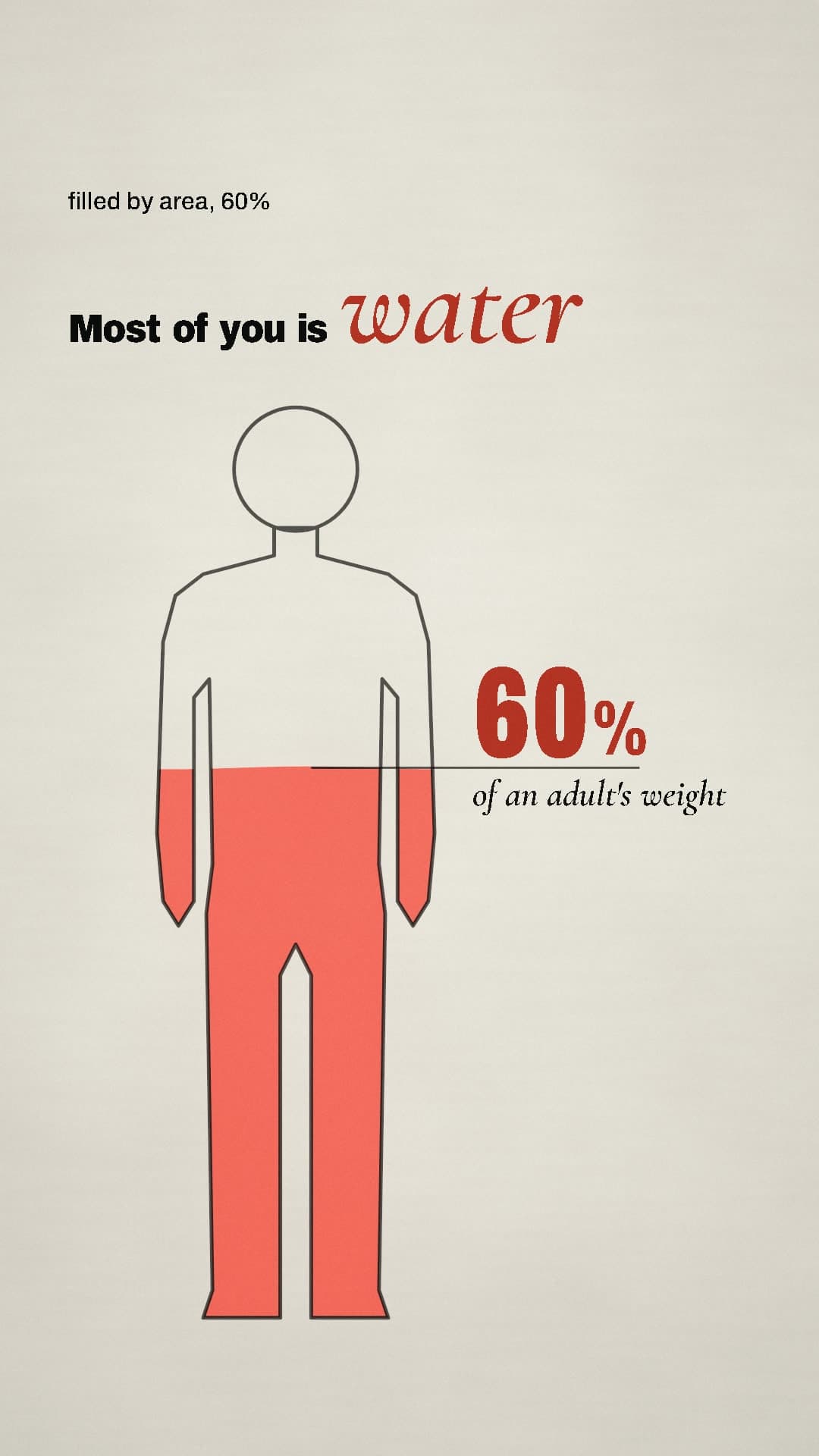 An outline of a body filled to 60% with water