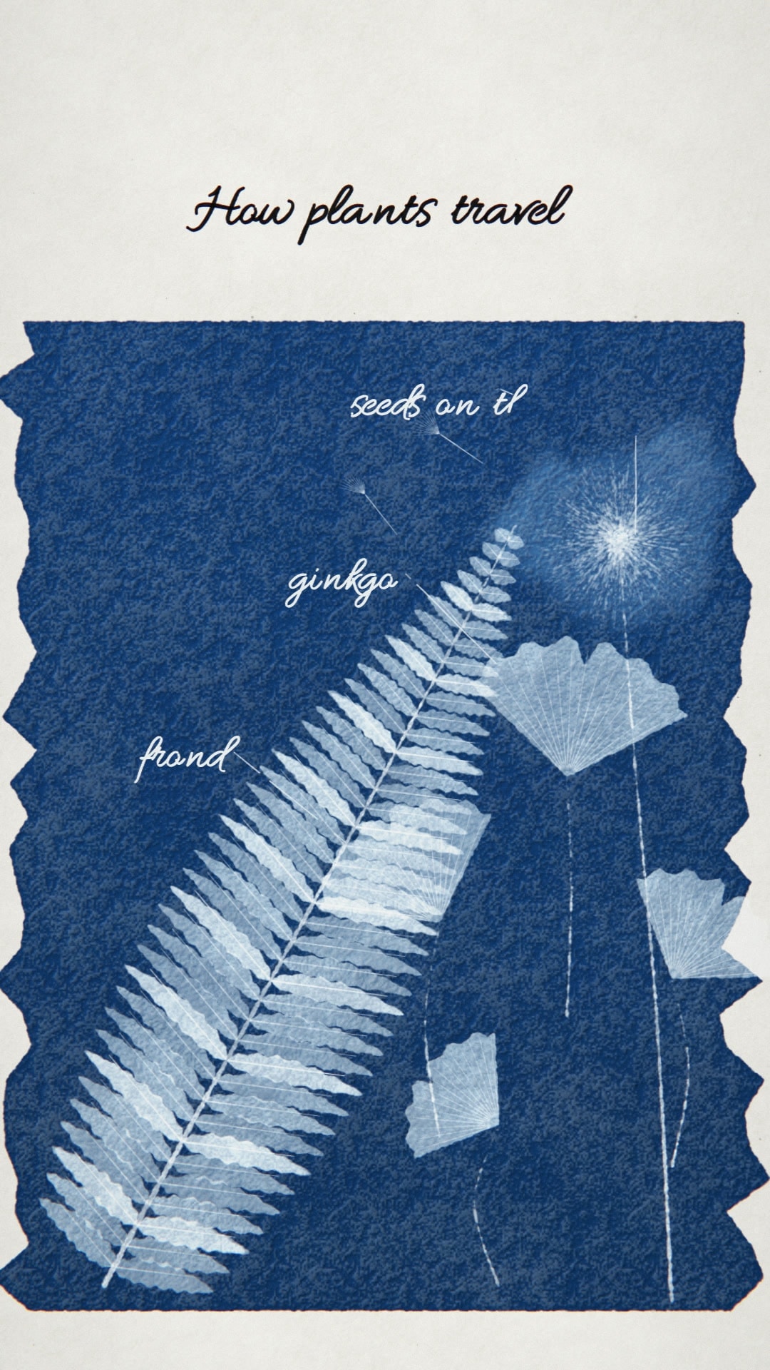 How plants travel